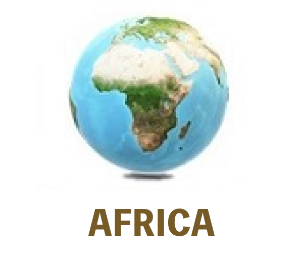 Africa Taiwan Trade