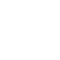 print icon